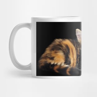 main coon cat Mug